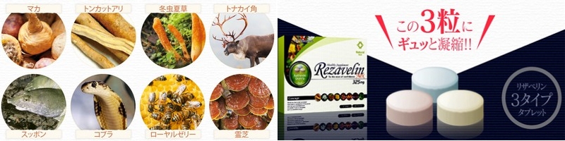 ����E�����E��s�EED�Ȃ�b��̃T�v���I���̓T�|�[�g�y ���U�x���� �z���T�C�g